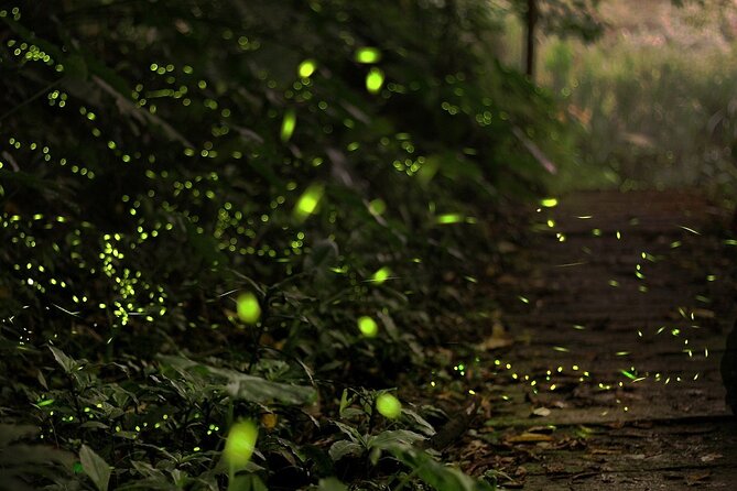Mystical Nights: Fireflies & Blue Tears Adventure - Sri Shakti Temple in a 20-minute visit