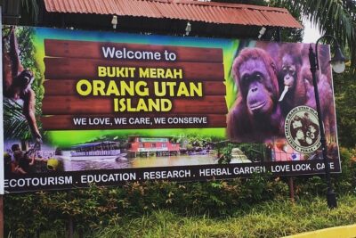 Orang Utan Island Day Tour