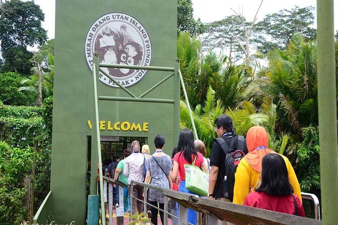 Orang Utan Island Day Tour (Bukit Merah) - Why the orangutan visit is the reason to go
