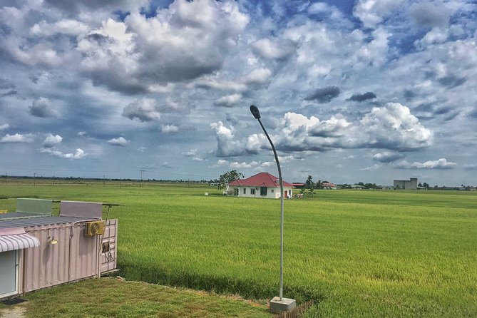 Paddy Field, Fishing Village Sekinchan DAY Tour Lunch (SIC-Shared/Join In Tour) - Leaving Kuala Lumpur at 9:30 am