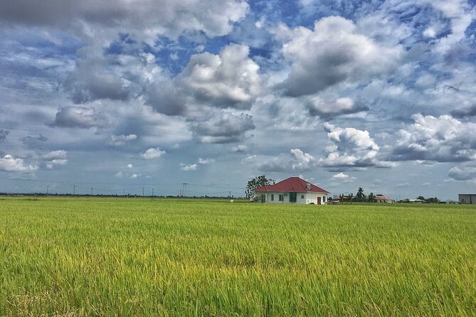 Paddy Field, Fishing Village Sekinchan DAY Tour Lunch (SIC-Shared/Join In Tour) - Inside the rice mill