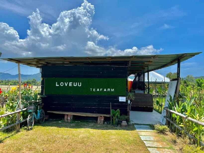 Penang: ATV Ride in Balik Pulau with Snacks and Transfers - Key points to know before booking