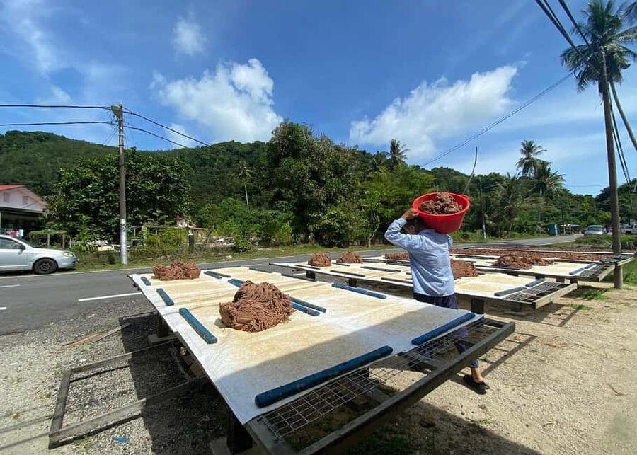 Penang: Balik Pulau Culture Experience & Village Tour - What the guides add to the day