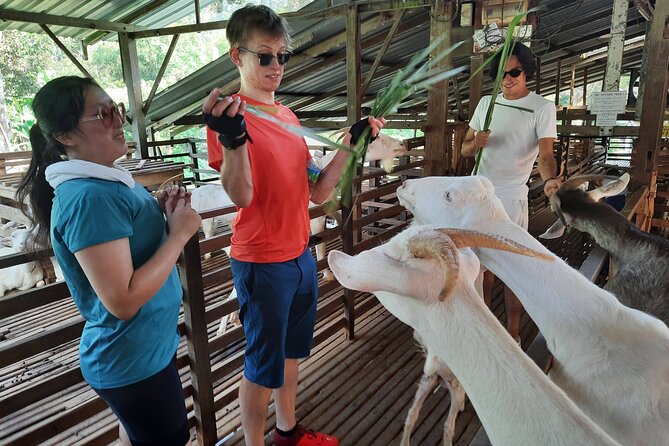 Penang Countryside Cycling Tour. PPA2 by Matahari - A 7:00 am start and a ride designed for beginners