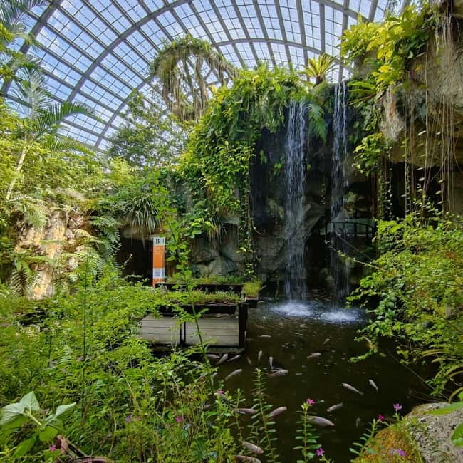 Penang: Entopia General Admission Tickets - Scheduled activities and hands-on learning