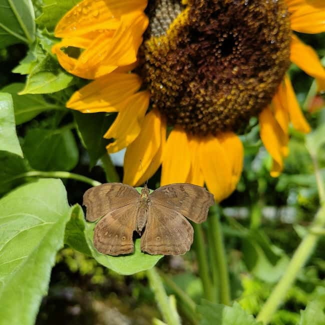 Penang: Entopia General Admission Tickets - What families should expect