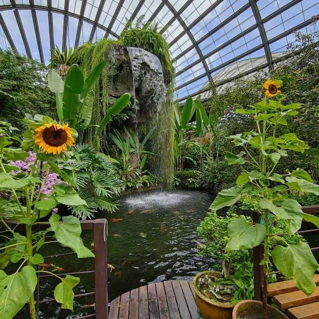Penang: Entopia General Admission Tickets - Who will enjoy Entopia most?