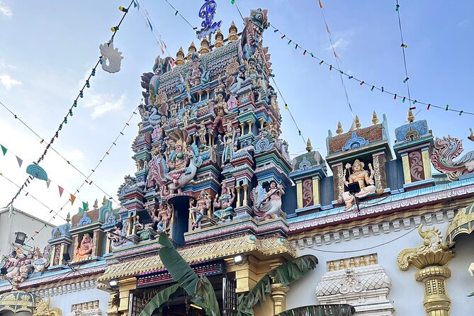 Penang Exciting Local Full Day Private Tour 8 Hours - What the driver-guide arrangement means