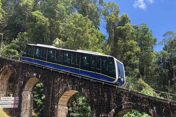 Penang Full Day Tour with Penang Hill, Kek Lok Si & Fruit Farm - Lunch and the Penang food angle