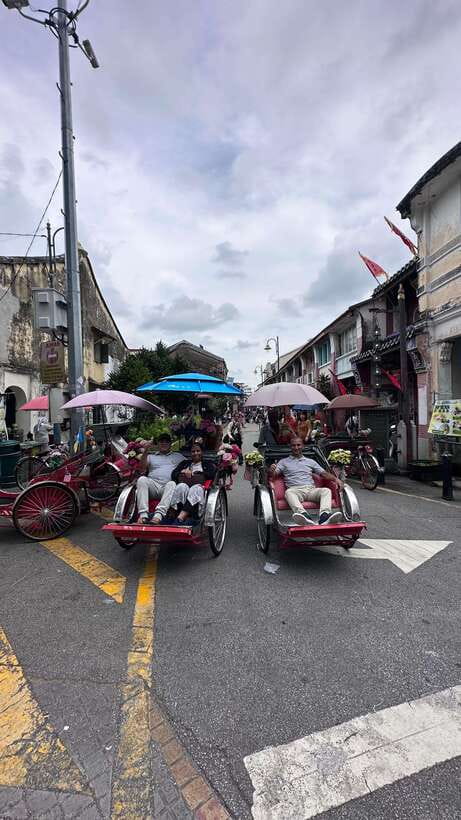 Penang: Penang Island Full-Day Private Tour - Why a private car works well on Penang Island