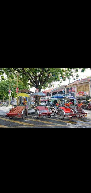 Penang: Penang Island Full-Day Private Tour - My practical verdict