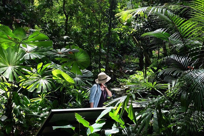 Penang Round Island Tour With Tropical Spice Garden & Entopia Butterfly Farm - Why this five-hour Penang circuit works