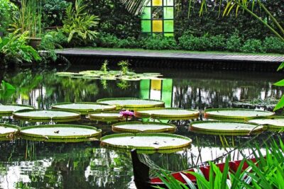 Penang Round Island Tour With Tropical Spice Garden & Entopia Butterfly Farm