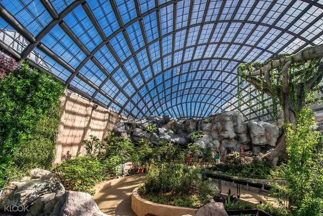 Penang Round Island Tour With Tropical Spice Garden & Entopia Butterfly Farm - Timing, comfort, and small details that matter