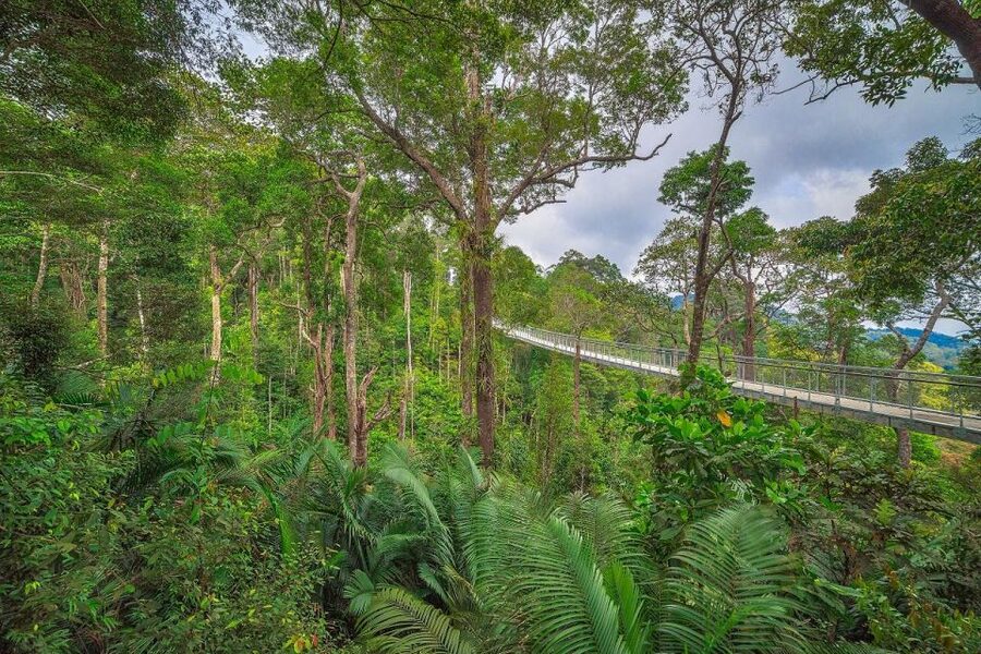 Penang: The Habitat Penang Hill Entry Ticket - Key points to know before you go