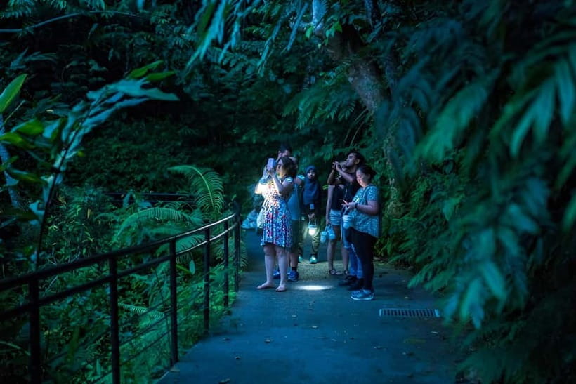 Penang: The Habitat Penang Hill Entry Ticket - The 1.6-kilometer trail through the trees