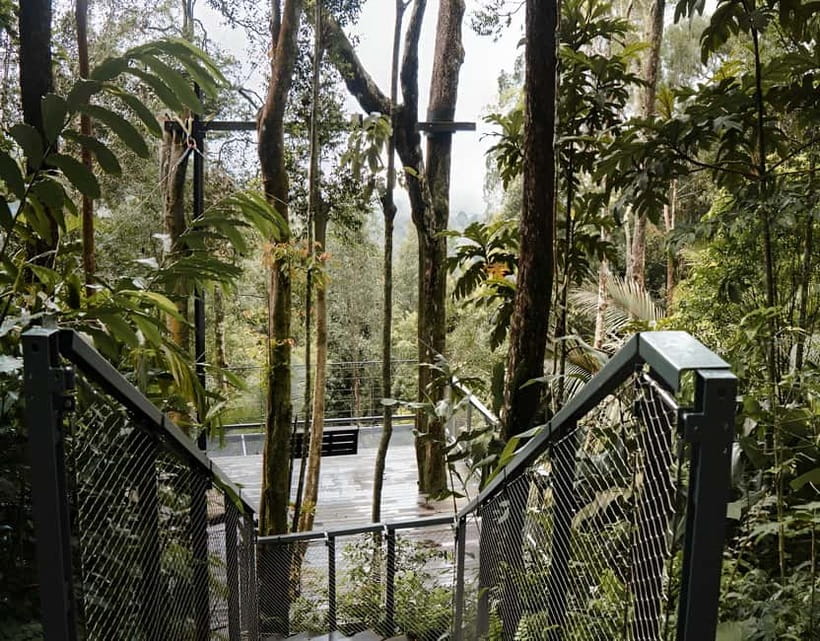 Penang: The Habitat Penang Hill Entry Ticket - Giant swings with a forest backdrop