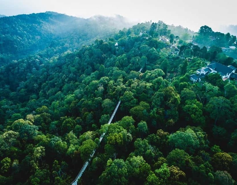 Penang: The Habitat Penang Hill Entry Ticket - Wildlife in a UNESCO biosphere reserve
