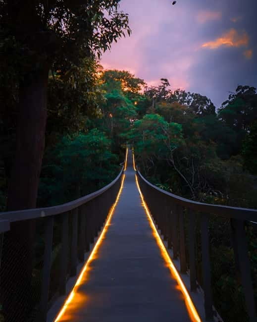 Penang: The Habitat Penang Hill Entry Ticket - How much time and effort should you allow?