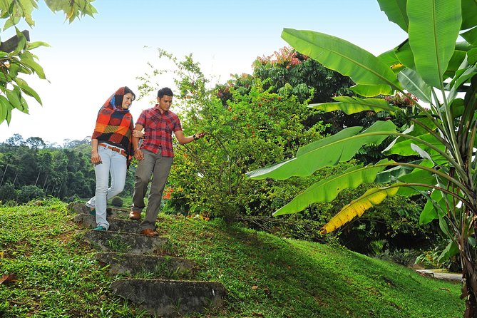 Penang Tropical Fruit Farm with Fruit Tasting - Who will enjoy this best