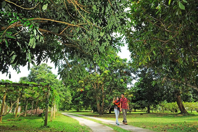 Penang Tropical Fruit Farm with Fruit Tasting - From coconut oil to natural soap