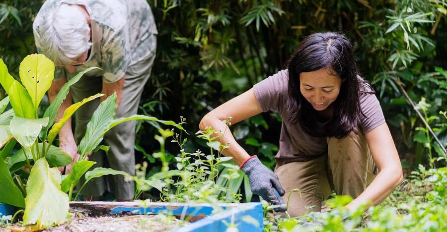 Penang: Tropical Spice Garden Entrance Ticket & Guided Tours - Key things to know before you go