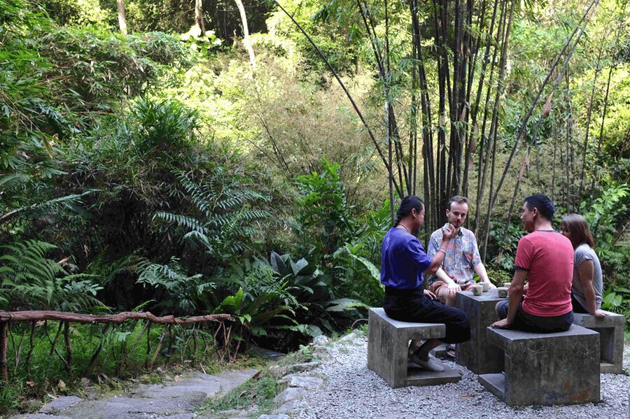 Penang: Tropical Spice Garden Entrance Ticket & Guided Tours - Fish foot baths, sauna, and other surprises