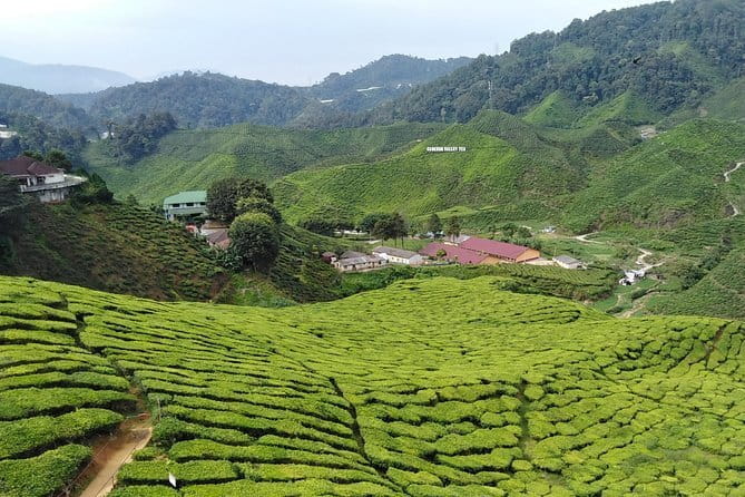Private: Cameron Highlands 2 days 1 night Trip - Key points to know before booking