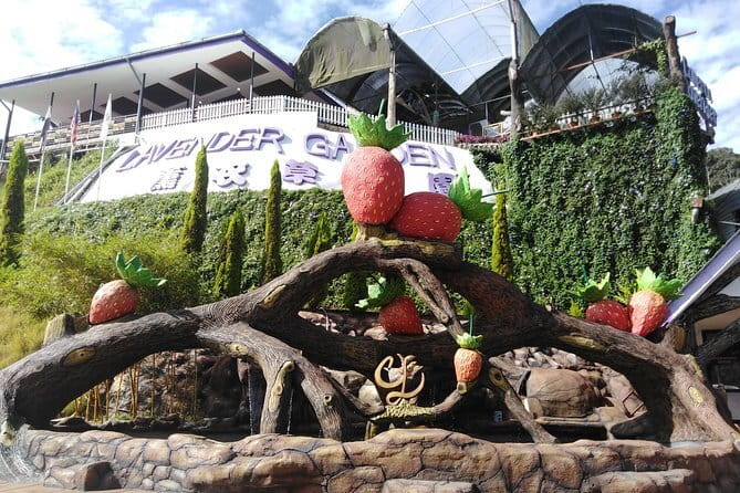 Private: Cameron Highlands 2 days 1 night Trip - Cactus, flowers, and the Kea Farm Market