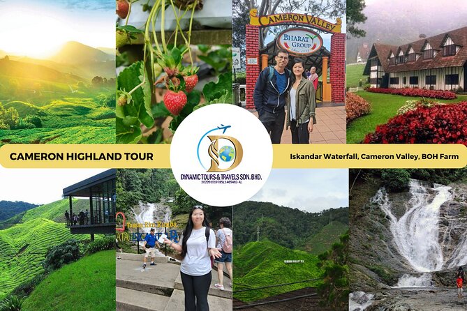 Private Full-Day Cameron Highlands Nature Tour from Kuala Lumpur - Key points to know before you book