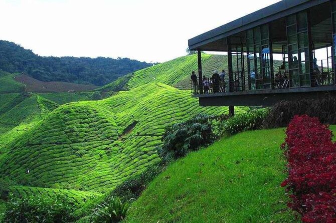 Private Full-Day Cameron Highlands Nature Tour from Kuala Lumpur - Leaving Kuala Lumpur for the Cameron Highlands