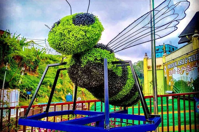Private Full-Day Cameron Highlands Nature Tour from Kuala Lumpur - Tea country around Habu and Tanah Rata