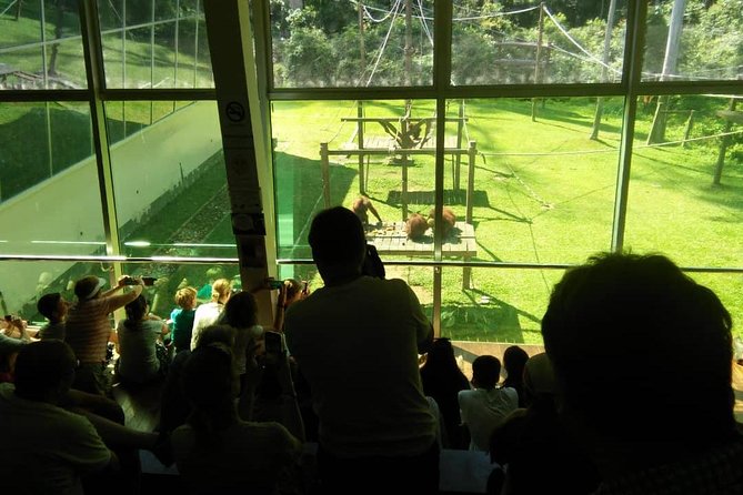 Private Full Day Sepilok Orang Utan, Bornean Sun Bear and Rainforest Discovery Center Tour - Why this private Sandakan day works