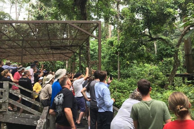 Private Full Day Sepilok Orang Utan, Bornean Sun Bear and Rainforest Discovery Center Tour - Sepilok Orangutan Rehabilitation Centre