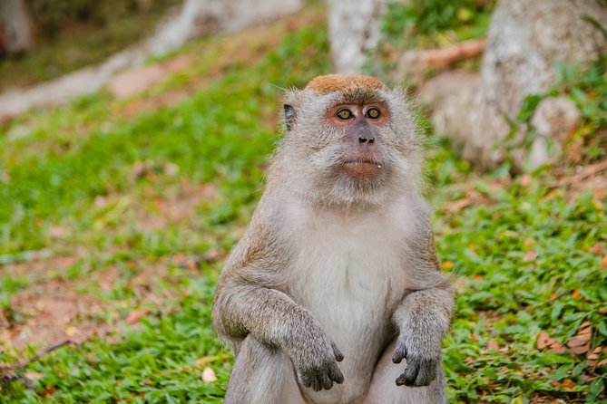 Private Kanching Waterfalls with Batu Caves & Ramayana Caves Tour - Timing, comfort, and what to bring