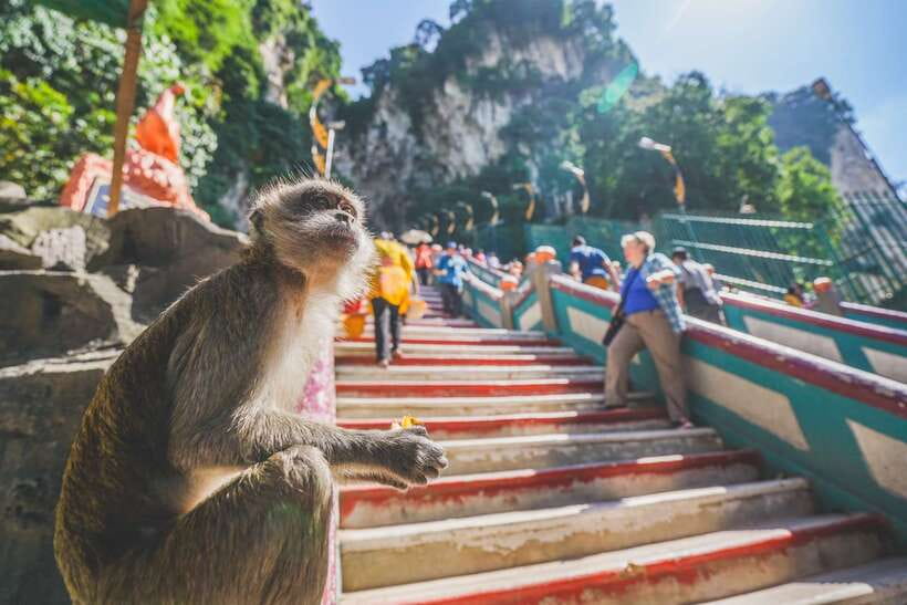 Private KL City Tour with Petronas Twin Towers & Batu Caves - Batu Caves and the climb to Lord Muruga
