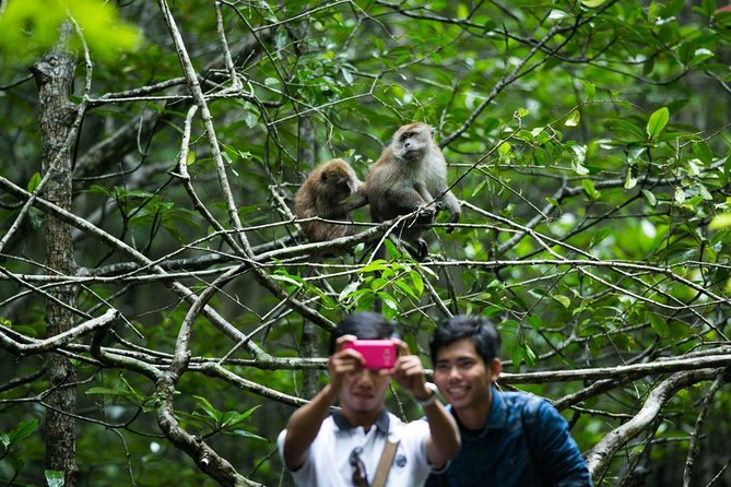 Private Mangrove Tour 3 Hour (max 8 People) - Key points at a glance