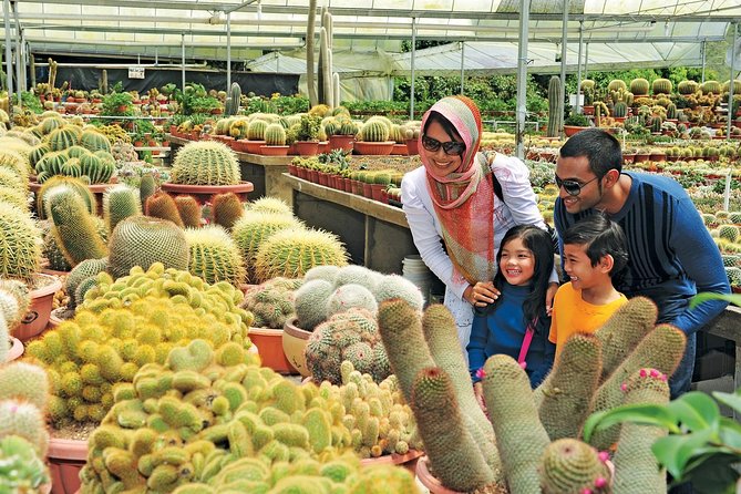 Private Nature Trip to Cameron Highlands from Kuala Lumpur - The Time Tunnel’s old Malaysia