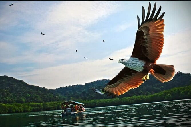 Private Tg Rhu Mangrove Forest Boat Tour With Lunch on A Floating Restaurant - Key points at a glance