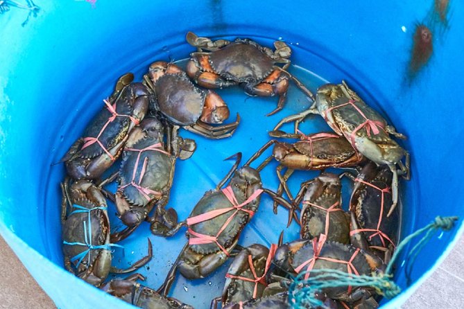 Private Tour: Crab Island Sightseeing Boat Ride and Seafood Lunch - Who will enjoy this tour most