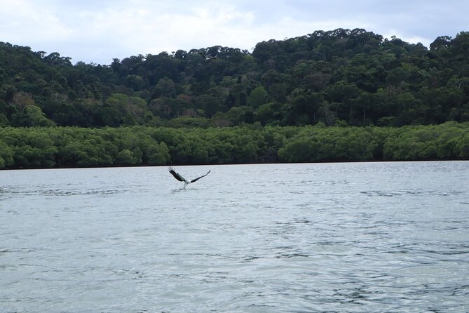 Private Tour: Southern Island Geopark Tour from Langkawi - What the private group format changes