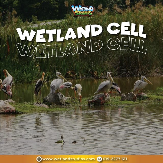 Putrajaya: Wetland Studios Admission Ticket - Stepping outside onto the scenic trails
