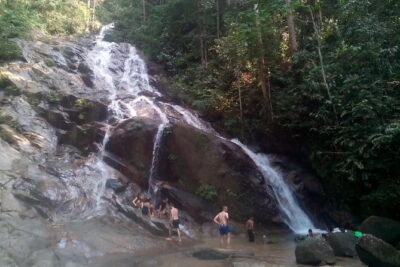 Rainforest-Cascading Waterfall & Batu Cave (Private Tour)