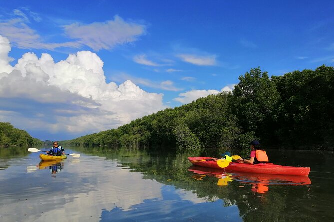 River Exploration and Mangrove Nature Tour by kayaking - Key points to know before you paddle