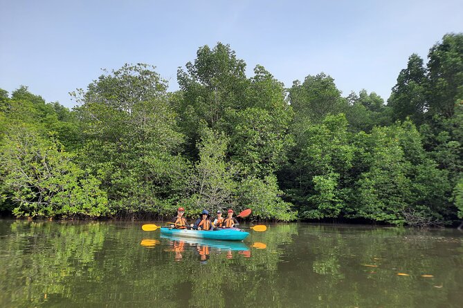 River Exploration and Mangrove Nature Tour by kayaking - Sepang River offers a quieter kind of Malaysia outing