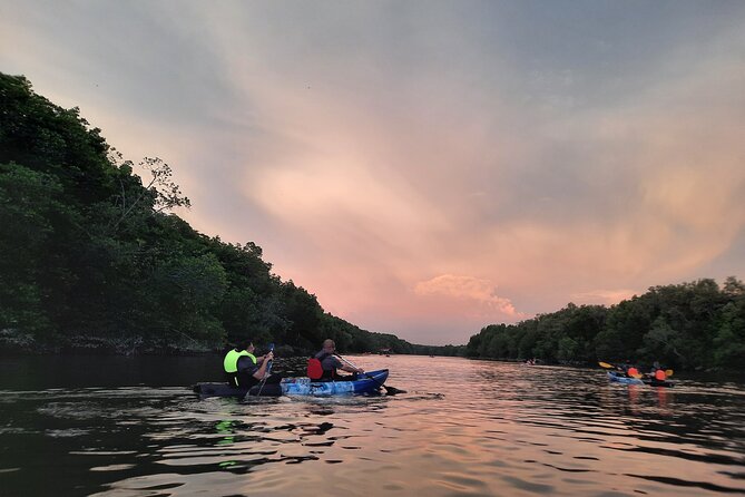River Exploration and Mangrove Nature Tour by kayaking - Launching with the right equipment