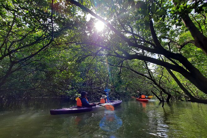 River Exploration and Mangrove Nature Tour by kayaking - Who will enjoy this Sepang outing most