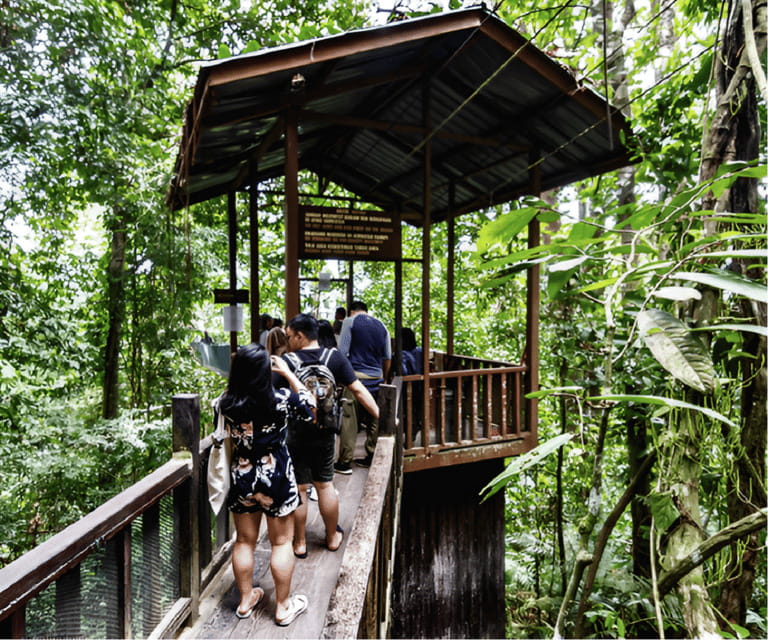 Sabah: Kinabalu Park, Hot Springs, and Cow Farm Day Tour - What to pack and who will enjoy it
