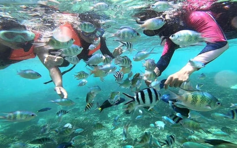 Sabah: Mantanani Island Day Tour with Lunch - Why Mantanani works as a Sabah day trip