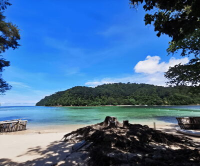 Manukan and Sapi Islands Excursion Ticket